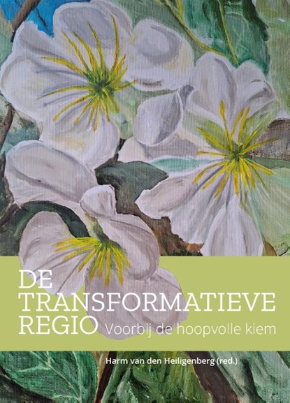 De transformatieve regio, Harm van den Heiligenberg - Gebonden - 9789463015936