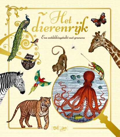 Dierenrijk - een ontdekkingstocht met gravures, Annelies Marin - Overig Gebonden - 9789463074117