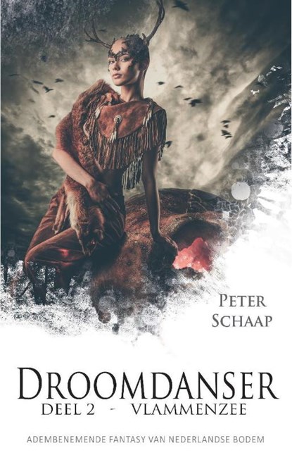 Vlammenzee, Peter Schaap - Paperback - 9789463080811