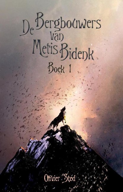 De bergbouwers van Metis Bidenk, Oliver Sted - Paperback - 9789463080828