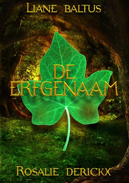 De erfgenaam, Liane Baltus ; Rosalie Derickx - Paperback - 9789463081900