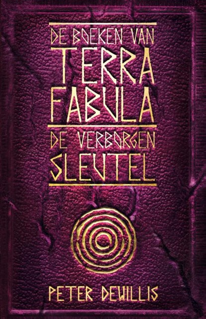 De verborgen sleutel, Peter DeWillis - Paperback - 9789463082051