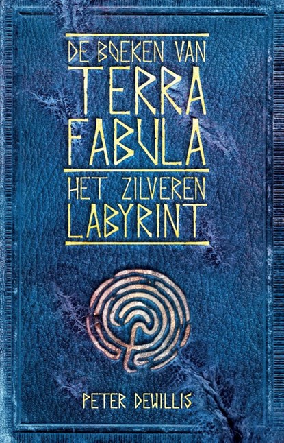 Het zilveren labyrint, Peter DeWillis - Ebook - 9789463082228