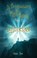 Lichtmetaal, Olivier Sted - Paperback - 9789463084017