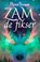 Zam de Fikser, Peter Schaap - Paperback - 9789463084413