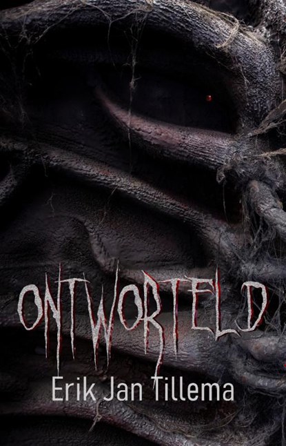 Ontworteld, Erik Jan Tillema - Paperback - 9789463084987
