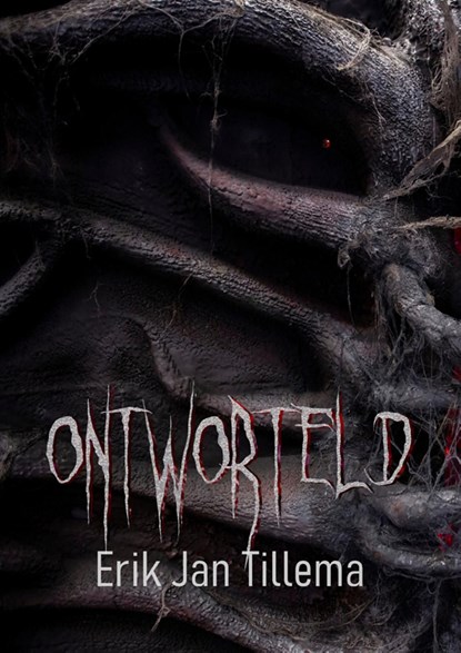 Ontworteld, Erik Jan Tillema - Ebook - 9789463085045