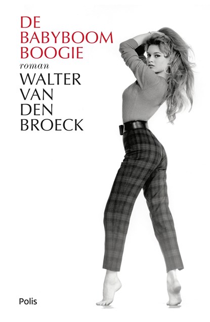 De babyboomboogie, Walter van Broeck - Ebook - 9789463102407