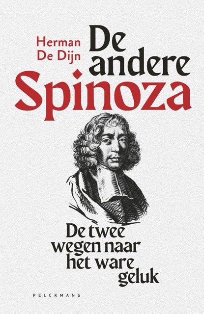 De andere Spinoza, Herman De Dijn - Paperback - 9789463105835