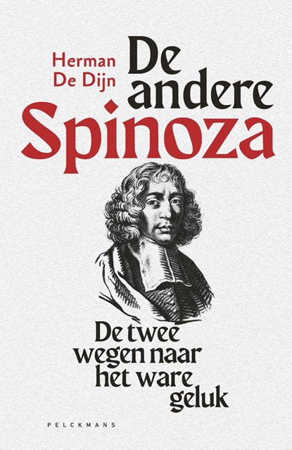 De andere Spinoza, Herman De Dijn - Ebook - 9789463105873