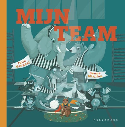 Mijn team, Senne Misplon - Gebonden - 9789463106634