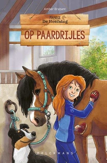 Op paardrijles, Amber Brabant - Gebonden - 9789463108041