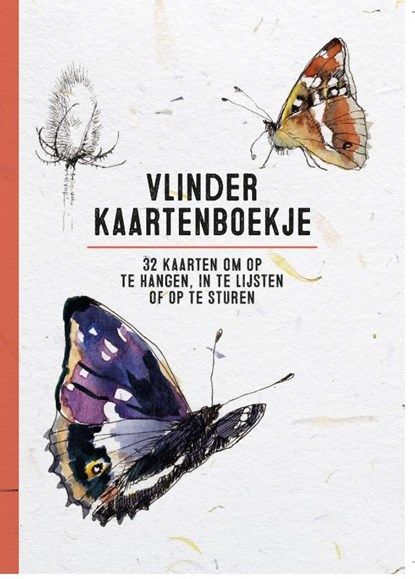 Vlinder kaartenboekje, niet bekend - Gebonden - 9789463141895