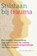 Stilstaan bij trauma, Vivian Broughton - Paperback - 9789463160339