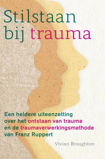 Stilstaan bij trauma, Vivian Broughton - Paperback - 9789463160339