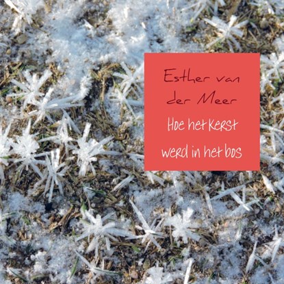 Hoe het kerst werd in het bos, Esther van der Meer - van der Meer - Paperback - 9789463184182