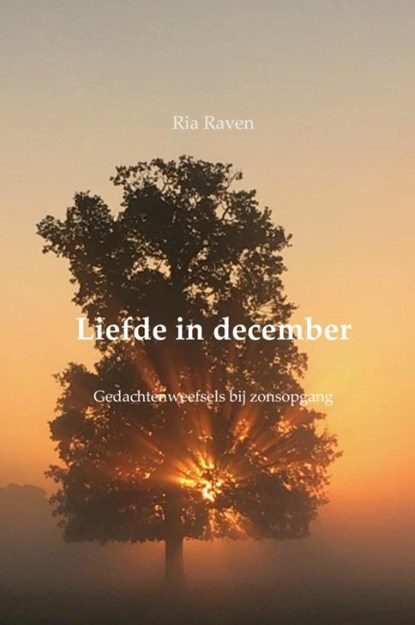 Liefde in december, Ria Raven - Gebonden - 9789463184427