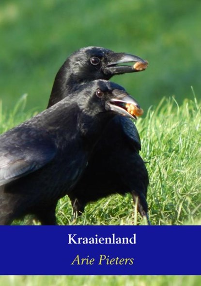 Kraaienland, Arie Pieters - Paperback - 9789463185455