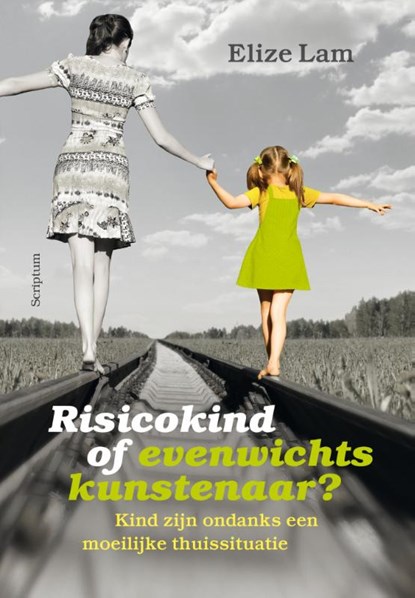 Risicokind of evenwichtskunstenaar?, Elize Lam - Gebonden - 9789463190244