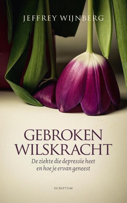 Gebroken wilskracht, Jeffrey Wijnberg - Gebonden - 9789463190497