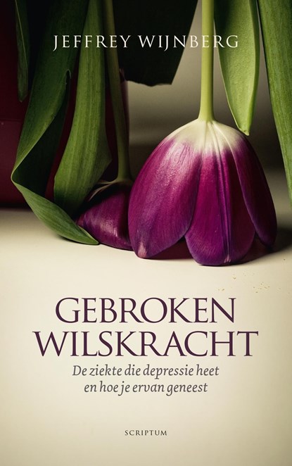 Gebroken wilskracht, Jeffrey Wijnberg - Ebook - 9789463190503