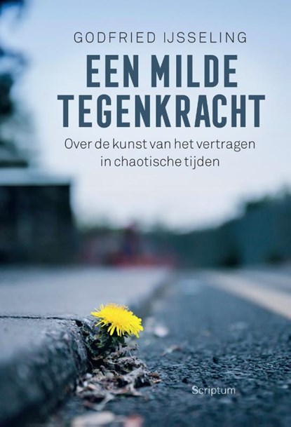 Een milde tegenkracht, Godfried IJsseling - Gebonden - 9789463193085