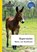 Superveulen, Netty van Kaathoven - Paperback - 9789463240246