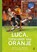 Luca, topscorer van Oranje, Gerard van Gemert - Gebonden - 9789463243353