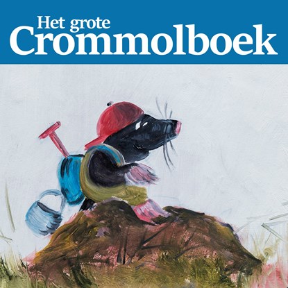 Het grote Crommolboek, Henk den Hartog - Luisterboek MP3 - 9789463270670