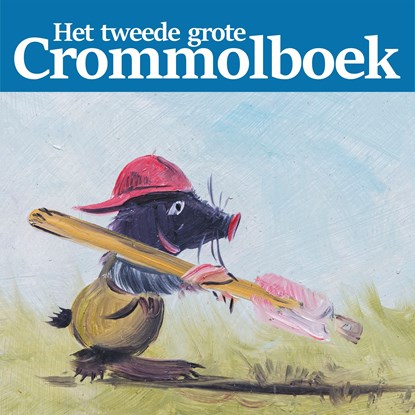 Het tweede grote Crommolboek, Henk den Hartog - Luisterboek MP3 - 9789463270687