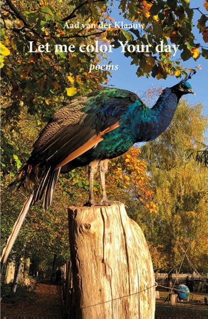Let me color Your day, Aad van der Klaauw - Paperback - 9789463284202