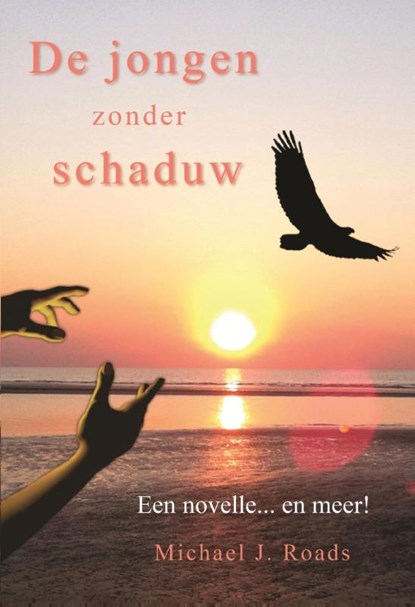 De jongen zonder schaduw, Michael J. Roads - Paperback - 9789463310055