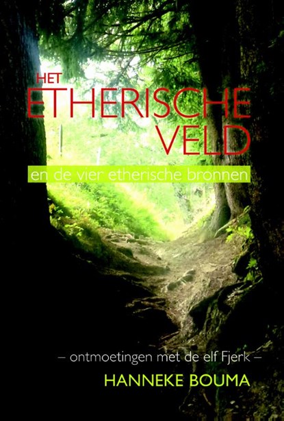 Het etherische veld, Hanneke Bouma - Paperback - 9789463310116