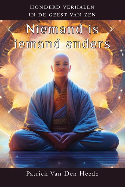 Niemand is iemand anders, Patrick van den Heede - Paperback - 9789463310543