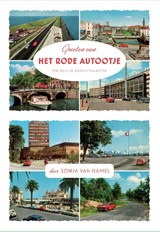 Groeten van het rode autootje - Sonja van Hamel - 9789463360357