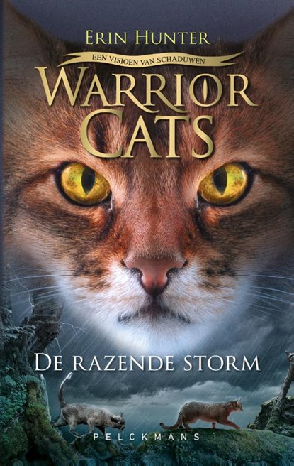 Warrior Cats - Een visioen van schaduwen: De razende storm, Erin Hunter - Gebonden - 9789463375603