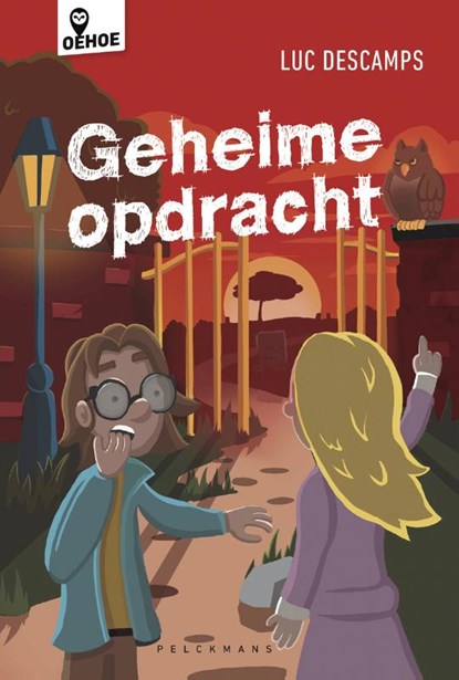 Geheime opdracht, Luc Descamps - Gebonden - 9789463376099