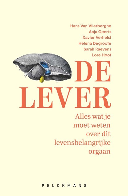 De lever, Hans Van Vlierberghe ; Anja Geerts ; Xavier Verhelst ; Helena Degroote ; Sarah Raevens ; Lore Hoof - Ebook - 9789463378611
