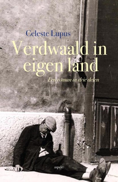 Verdwaald in eigen land, Celeste Lupus - Paperback - 9789463380539