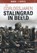 Stalingrad in beeld, Perry Pierik - Paperback - 9789463382274