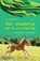 Het veulentje dat de wei uitsprong, Leo Rademaker - Paperback - 9789463382885
