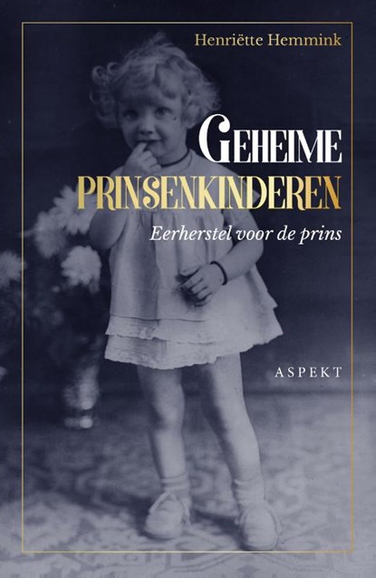 Geheime prinsenkinderen, Henriëtte Hemmink - Paperback - 9789463383578
