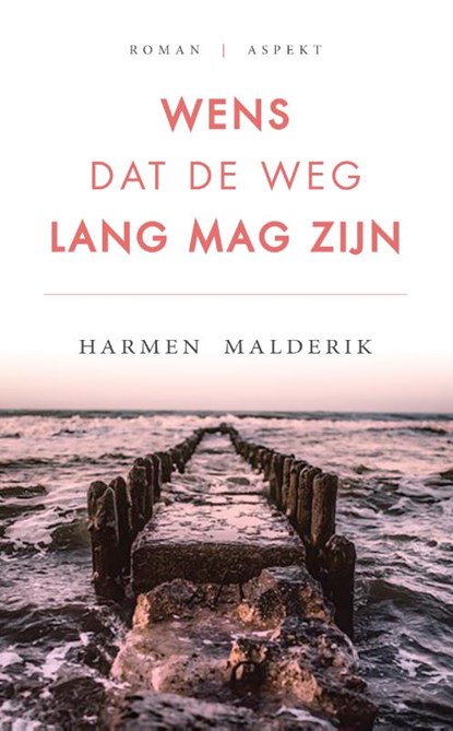 Wens dat de weg lang mag zijn, Harmen Malderik - Paperback - 9789463384711