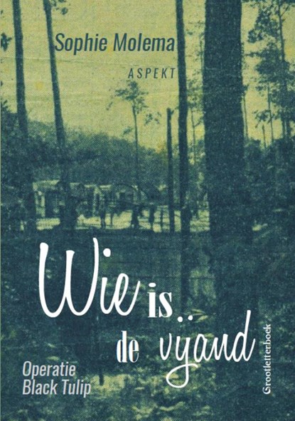 Wie is de vijand GLB, Sophie Molema - Paperback - 9789463384728