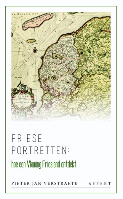 Friese portretten, Pieter Jan Verstraete - Paperback - 9789463384896