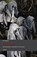 De rode dood, M. Boshart - Paperback - 9789463385978