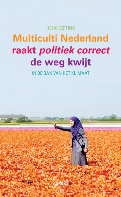 Multiculti Nederland raakt politiek correct de weg kwijt, Henk Eefting - Paperback - 9789463387071