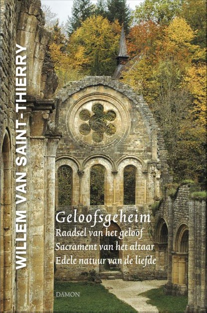 Geloofsgeheim, Willem van Saint-Thierry - Gebonden - 9789463402125