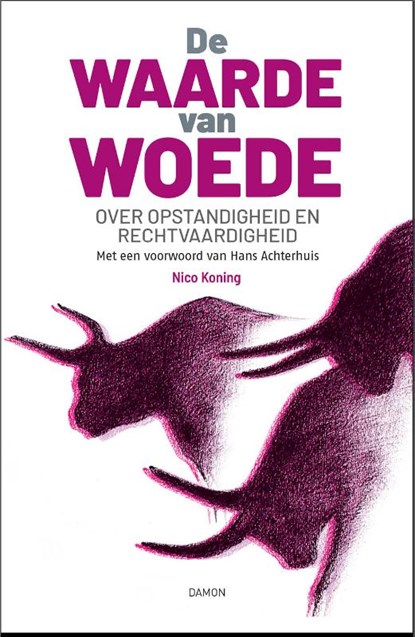De waarde van woede, Nico Koning ; Hans Achterhuis - Paperback - 9789463402965