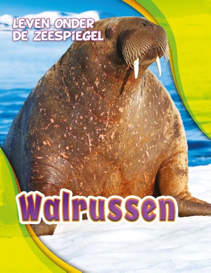 Walrussen, Kari Schuetz - Gebonden - 9789463411110